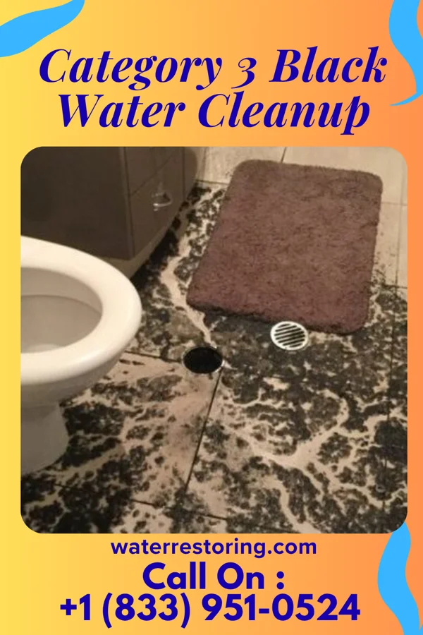 Category 3 Black Water Cleanup in Ardmore, OK
