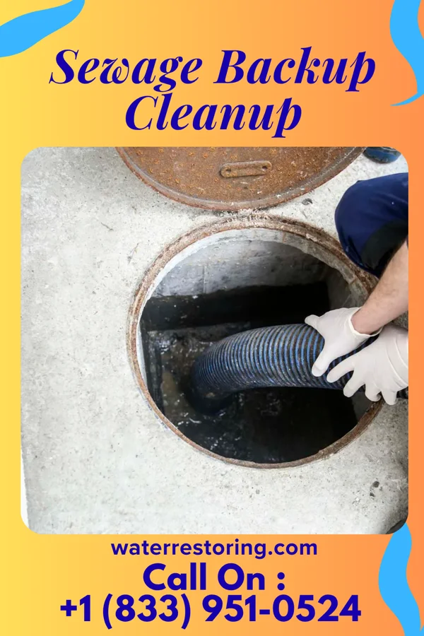 Sewage Backup Cleanup in Ardmore, OK